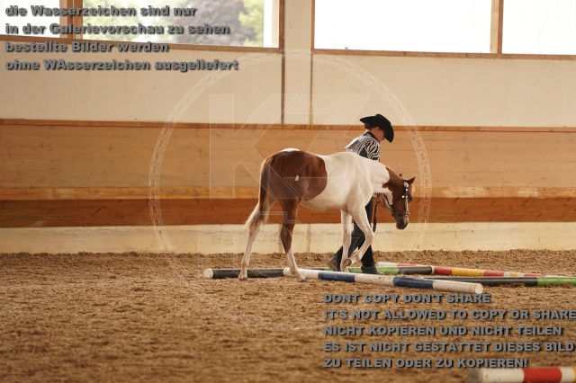 s_A_901164.JPG